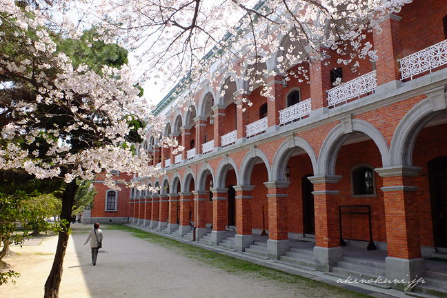 幹部候補生学校庁舎（旧海軍兵学校生徒館）の中庭と桜 １