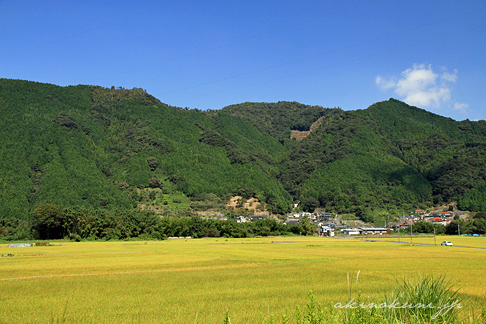 錦川にかかる沈下橋 細利橋への道を南河内駅から