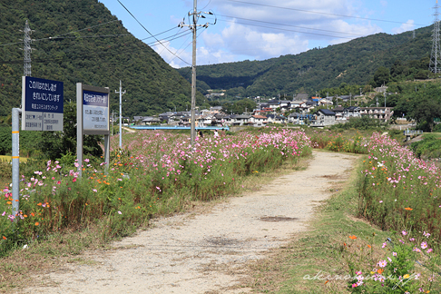 町田せせらぎ フラワー通り