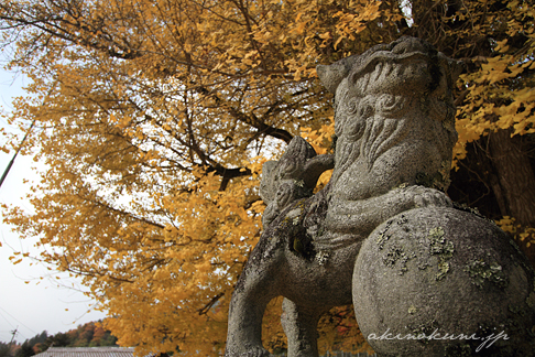 筒賀大歳神社の大銀杏 狛犬（？）と