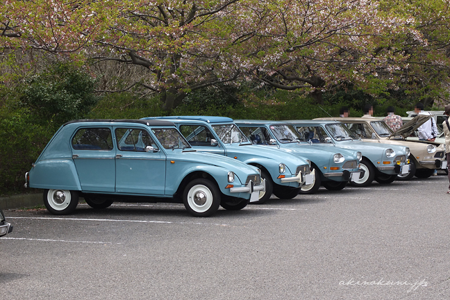 並んだシトロエン旧車たち ディアーヌとAMI（アミ）