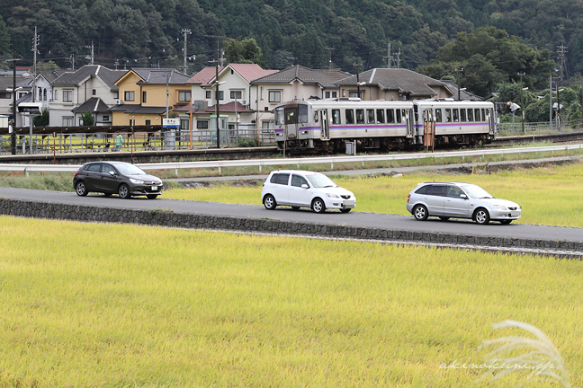 稲穂とキハ120系をバックにシトロエンC4とマツダ車