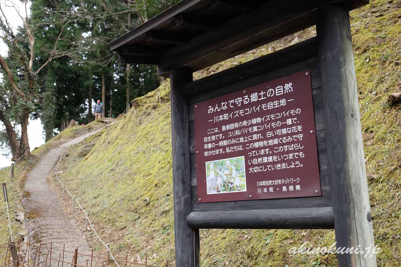 川本町谷戸地区イズモコバイモの案内板