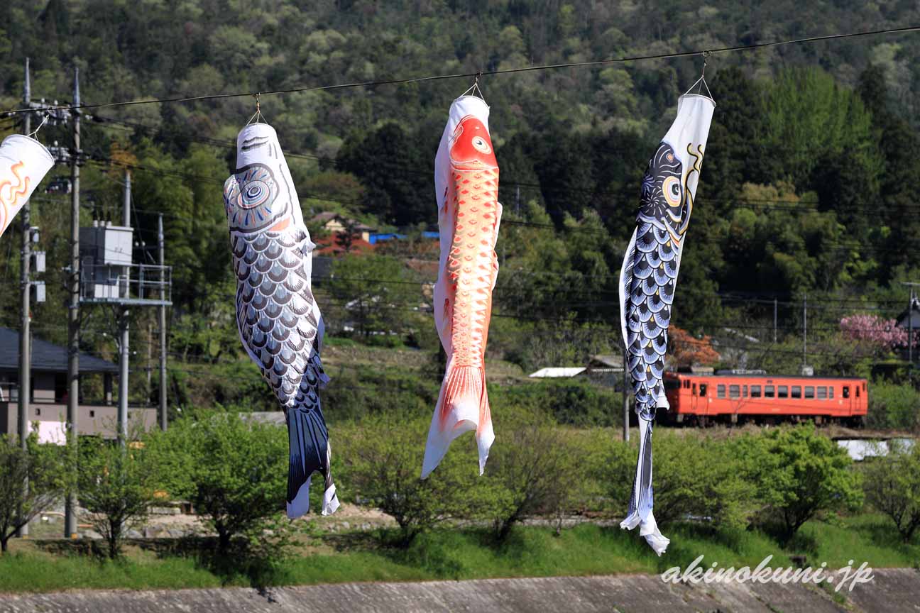 三篠川にかかる鯉のぼりと芸備線キハ