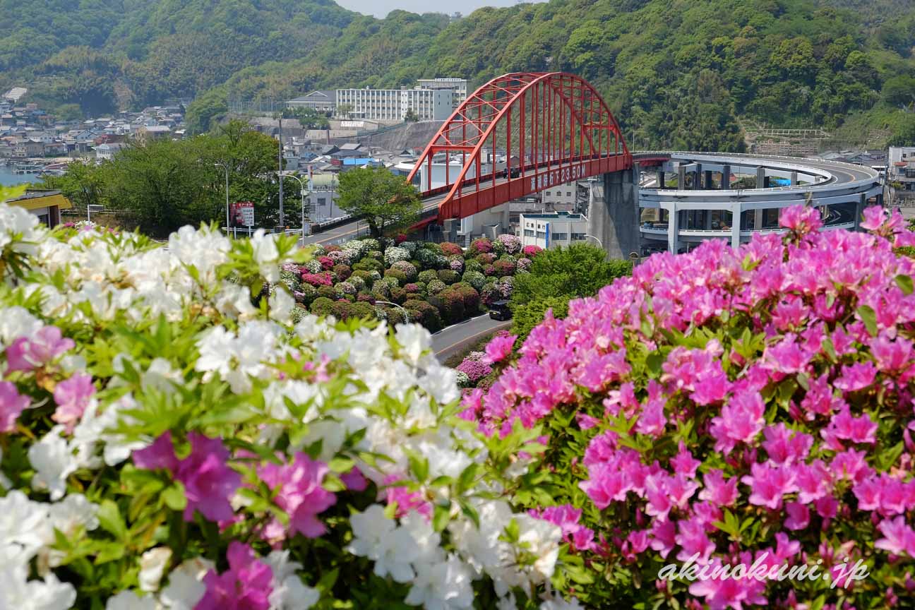 音戸の瀬戸　つつじに彩りと音戸大橋　ピントは橋に