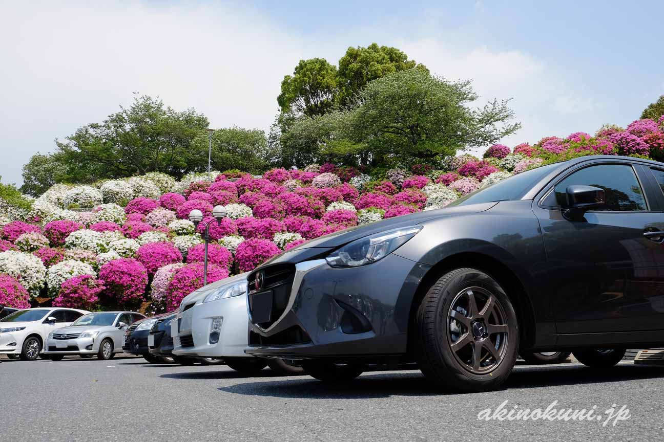 音戸の瀬戸　駐車場のデミオとつつじ