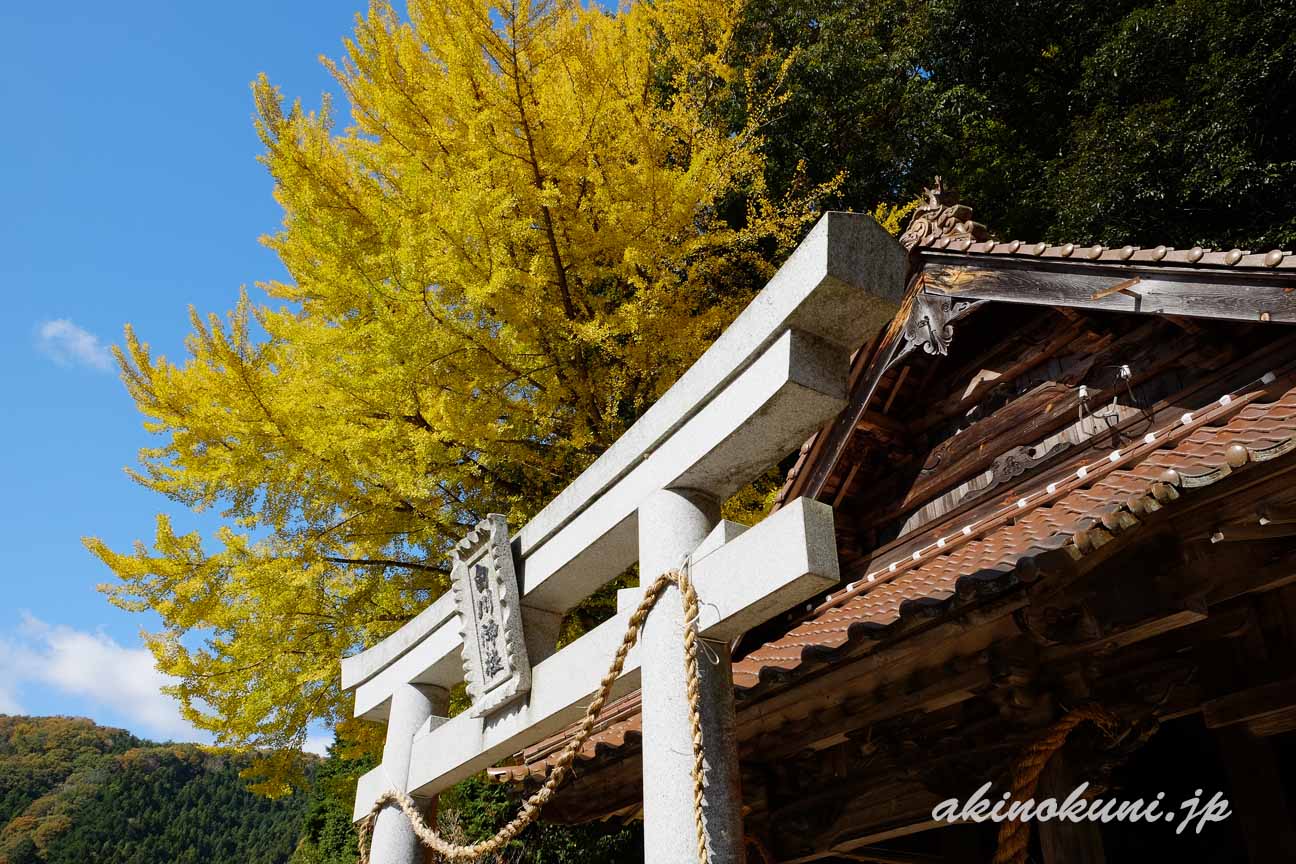 白川喜和田神社の境内から