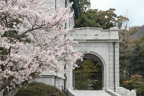 大講堂玄関（車寄せ）と桜