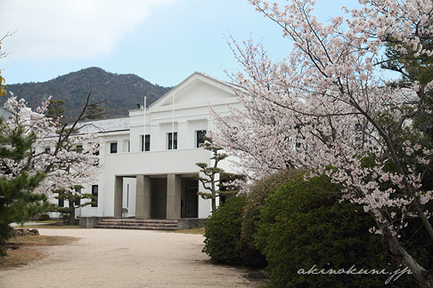 第1術科学校庁舎（旧海軍兵学校新庁舎）と桜