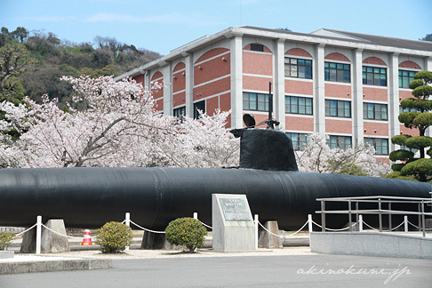 甲標的と桜