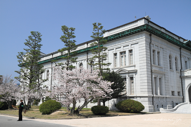 大講堂と桜