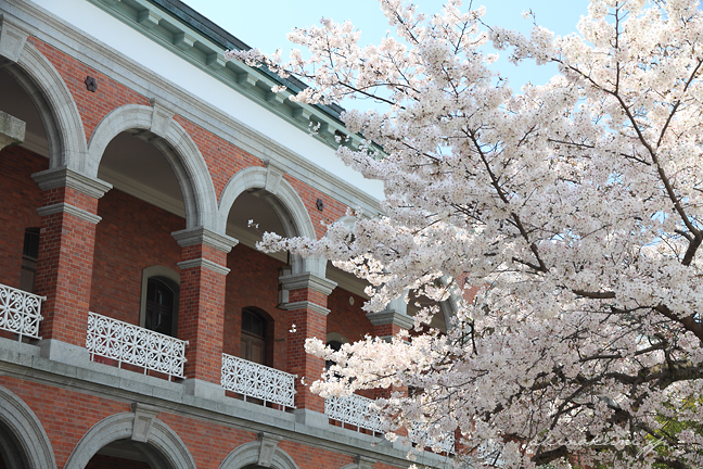 幹部候補生学校庁舎（旧海軍兵学校生徒館）の中庭と桜 ２ EOS7D