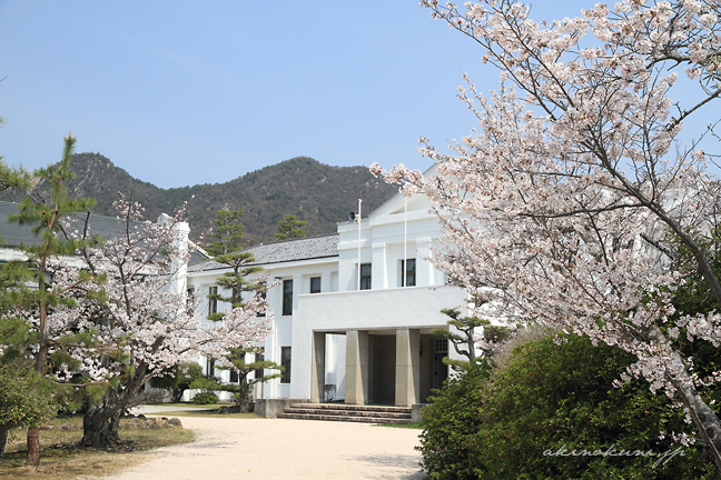 第1術科学校庁舎（旧海軍兵学校新庁舎）と桜