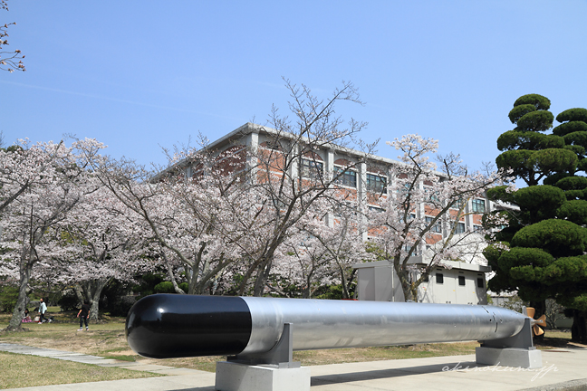 93式魚雷と桜