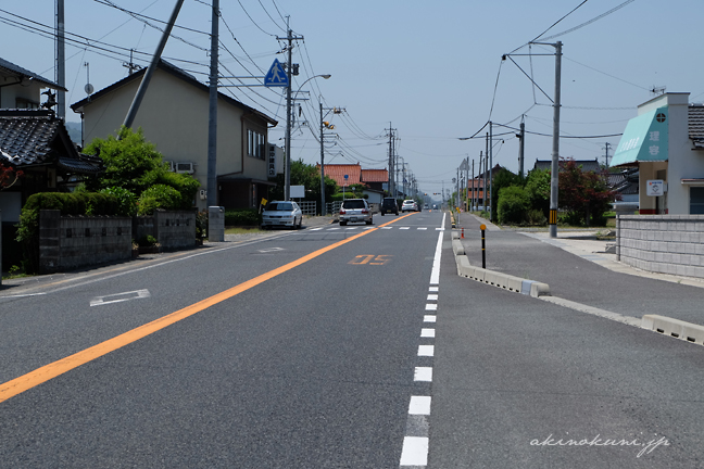 滑走路だったと思われる場所（南を向く）