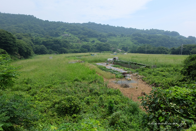 地下タンクがあった場所