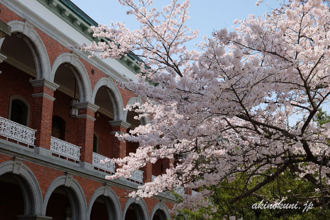 幹部候補生学校庁舎と「同期の桜」の桜