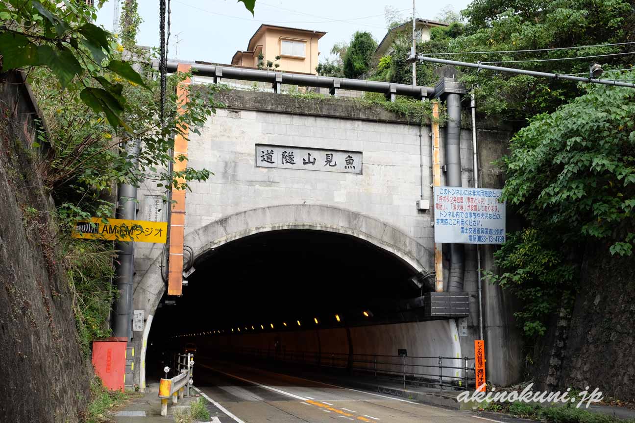 魚見山隧道