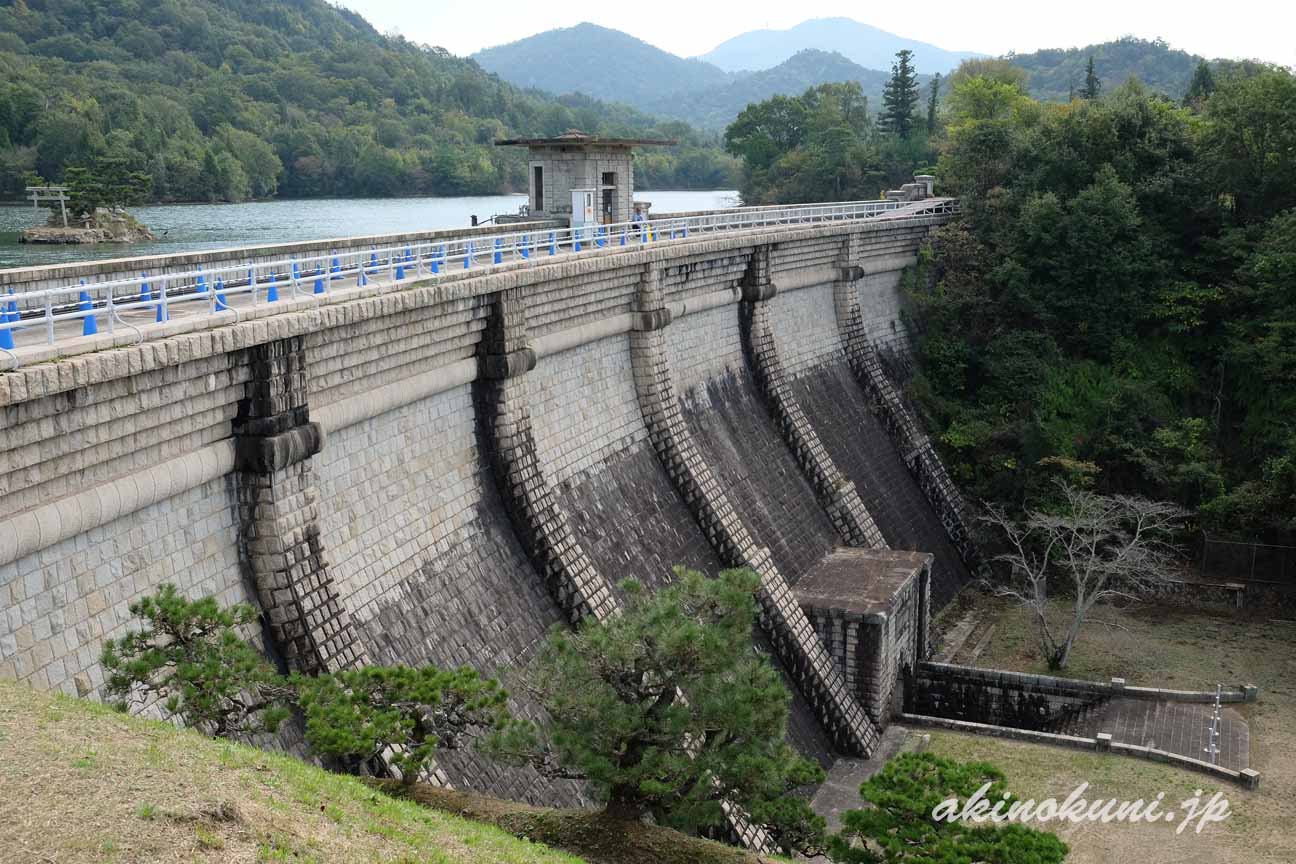 本庄水源地堰堤　上から