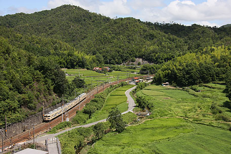 山陽線 瀬野八（セノハチ） 上り115系瀬戸内色普通列車