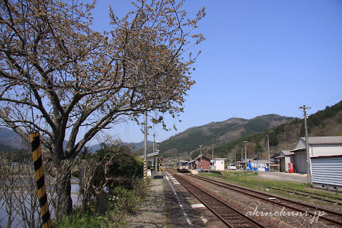 芸備線矢神駅にやってきたキハ120形と御衣黄桜