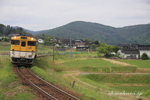 芸備線 向原～吉田口間を走るキハ40系 普通