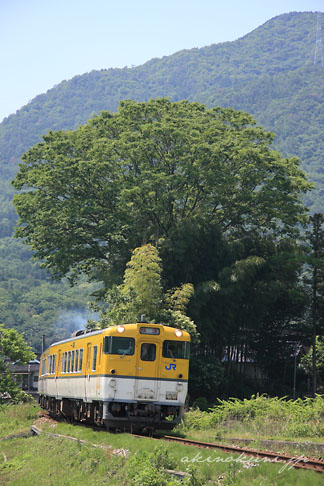 芸備線 上三田～志和口間を走るキハ40系 快速みよしライナー