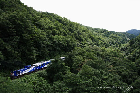 木次線 出雲坂根～三井野原間を走る（登る）奥出雲おろち号 8421