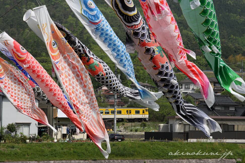 三篠川にかかる鯉のぼりとキハ40系広島色