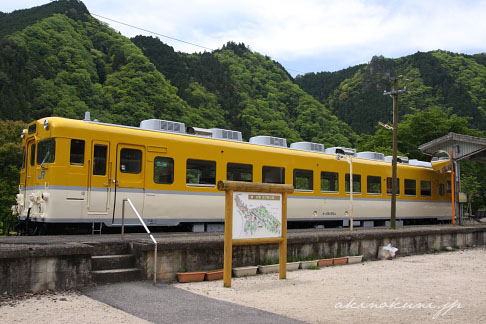 安野花の駅公園のキハ58