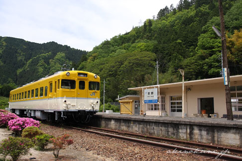 安野花の駅公園のキハ58