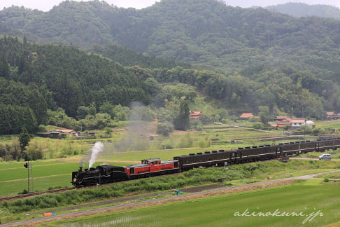 篠目駅を出て頑張るC56+DD51のSLやまぐち １