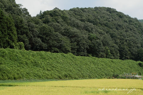 志和地～西三次間で私が撮ってみたかった場所