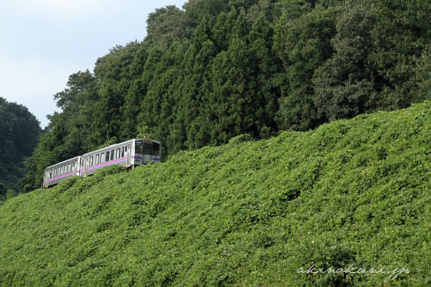 広島発三次・府中行き普通列車 1832D