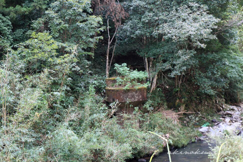 今福線 県道301号 橋脚（今福側）