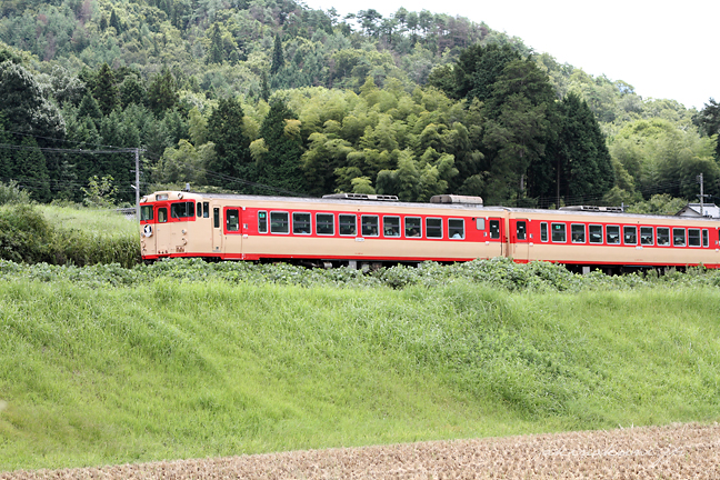 向原～吉田口間を走るリバイバルトレイン急行「ちどり」 ２