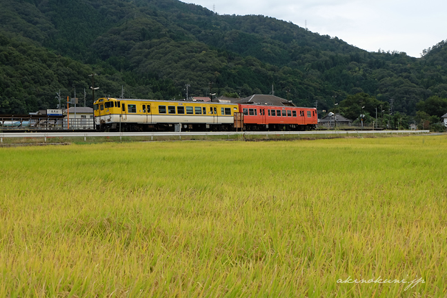 白木山駅に停車するキハ40系と稲穂