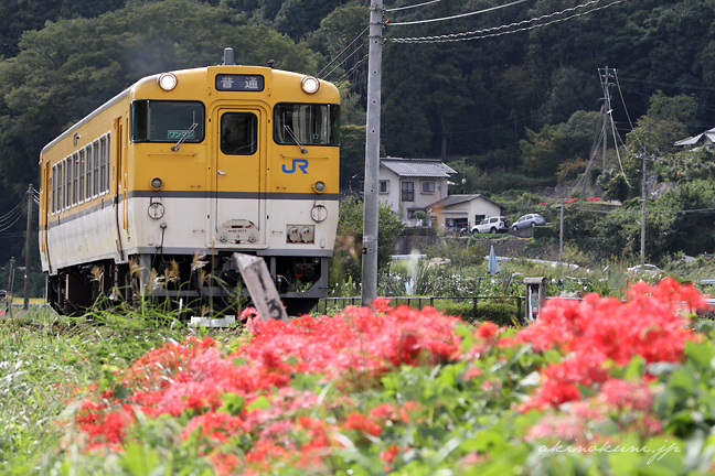 白木山駅をさった広島色キハ40系と彼岸花