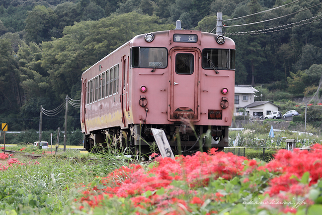 白木山駅にやってくるタラコ色キハ40系と彼岸花