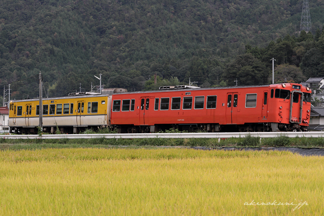 白木山駅にやってくるタラコ色＋広島色キハ40系と稲穂