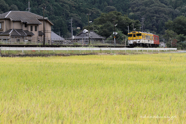 白木山駅をさるタラコ色＋広島色キハ40系と稲穂