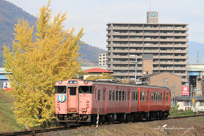 ストッピーくんがついたキハと銀杏