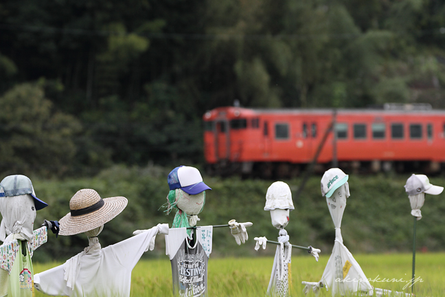 井原小学校伊原米作り隊の案山子（かかし）と芸備線4 5856D