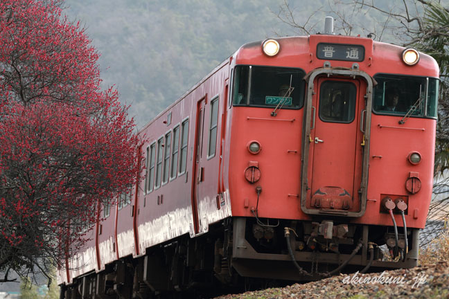 広島行き　1859D　と梅