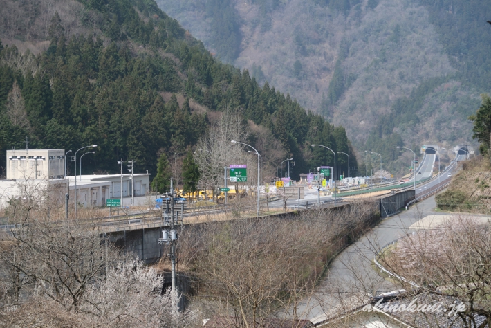 群生地から中国道を見る