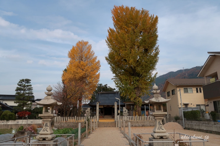 友廣神社の銀杏-2（2018年12月2日：g7x-mark2で撮影）