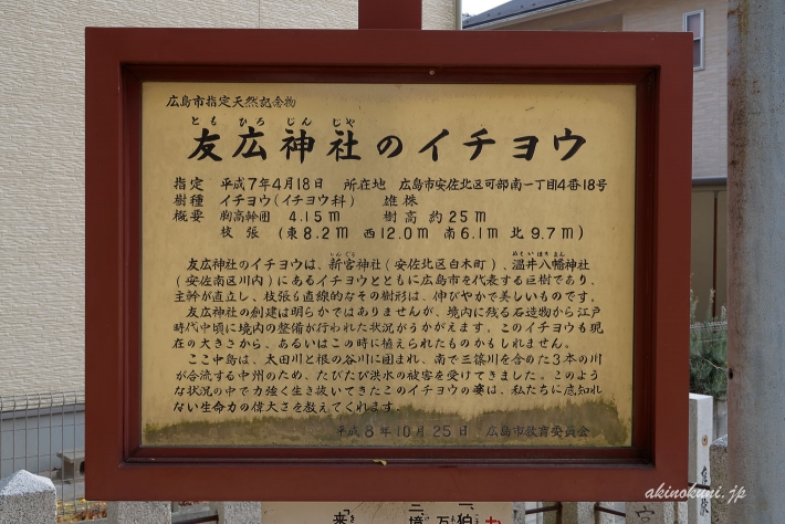 友廣神社の銀杏-3（2018年12月2日：g7x-mark2で撮影）