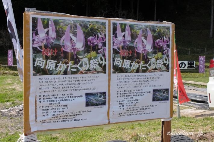 "続け! かたくり祭り" の看板