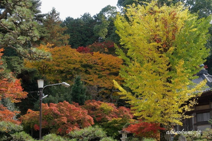 高林坊（2019年11月10日撮影）-1