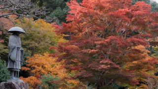 高林坊（2019年11月10日撮影）-2